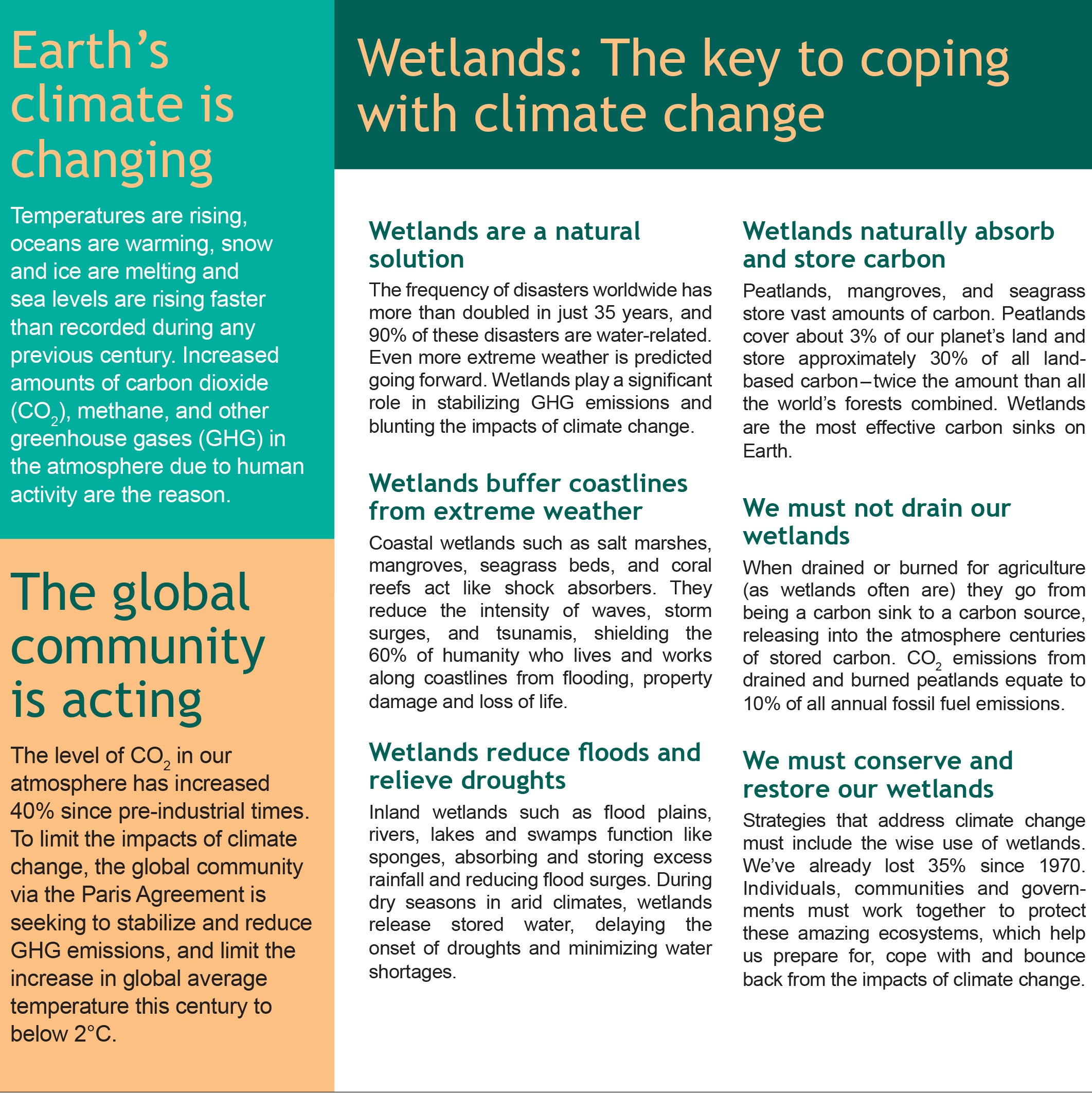 Wetlands the key coping with climate change
